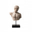 Antinous Portrait Sculpture