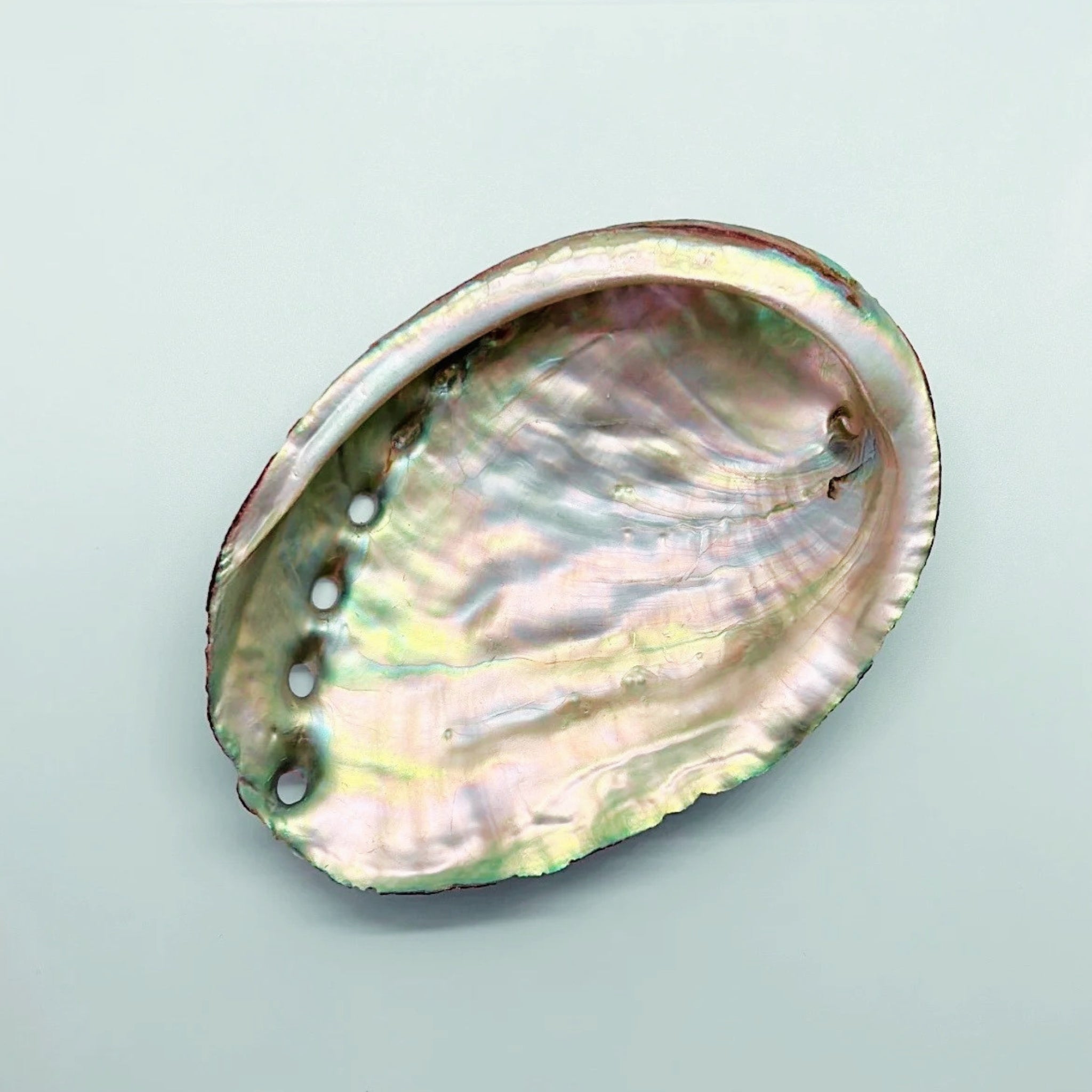 Oceanic Collection