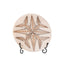 Pelta Fossil Stone Ornament