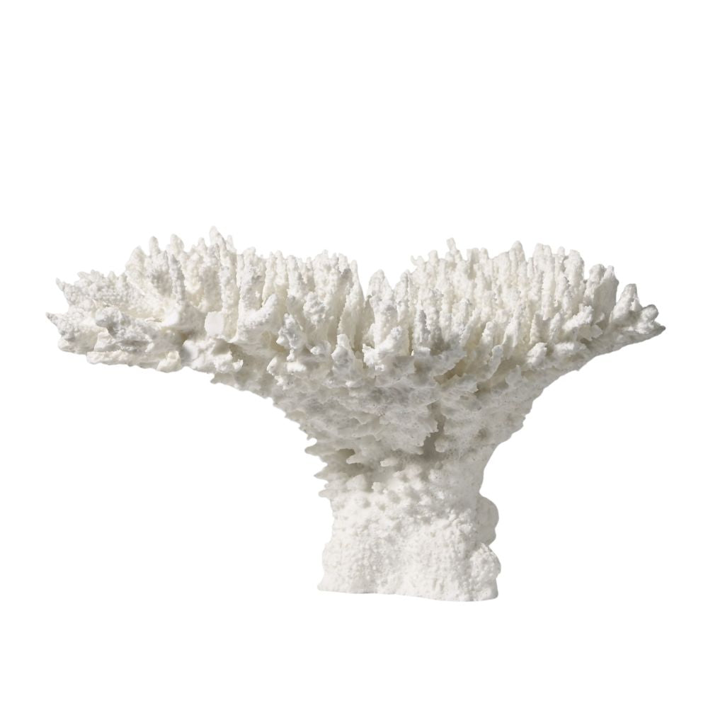 Rami Naturalistic Coral Sculpture