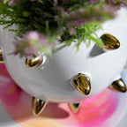 Echin Spike Sphere Ceramic Vase