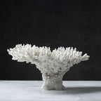 Rami Naturalistic Coral Sculpture