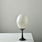 Dorian Handmade Oval Pedestal Glass Diffuser