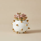 Echin Spike Sphere Ceramic Vase