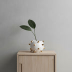 Echin Spike Sphere Ceramic Vase
