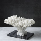 Rami Naturalistic Coral Sculpture
