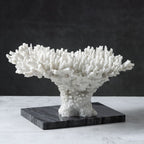 Rami Naturalistic Coral Sculpture