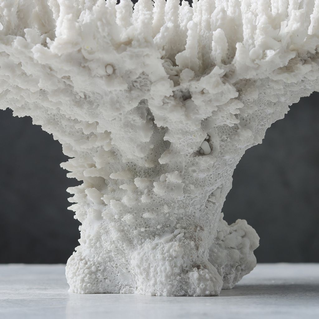 Rami Naturalistic Coral Sculpture