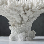 Rami Naturalistic Coral Sculpture