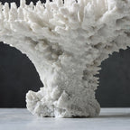 Rami Naturalistic Coral Sculpture
