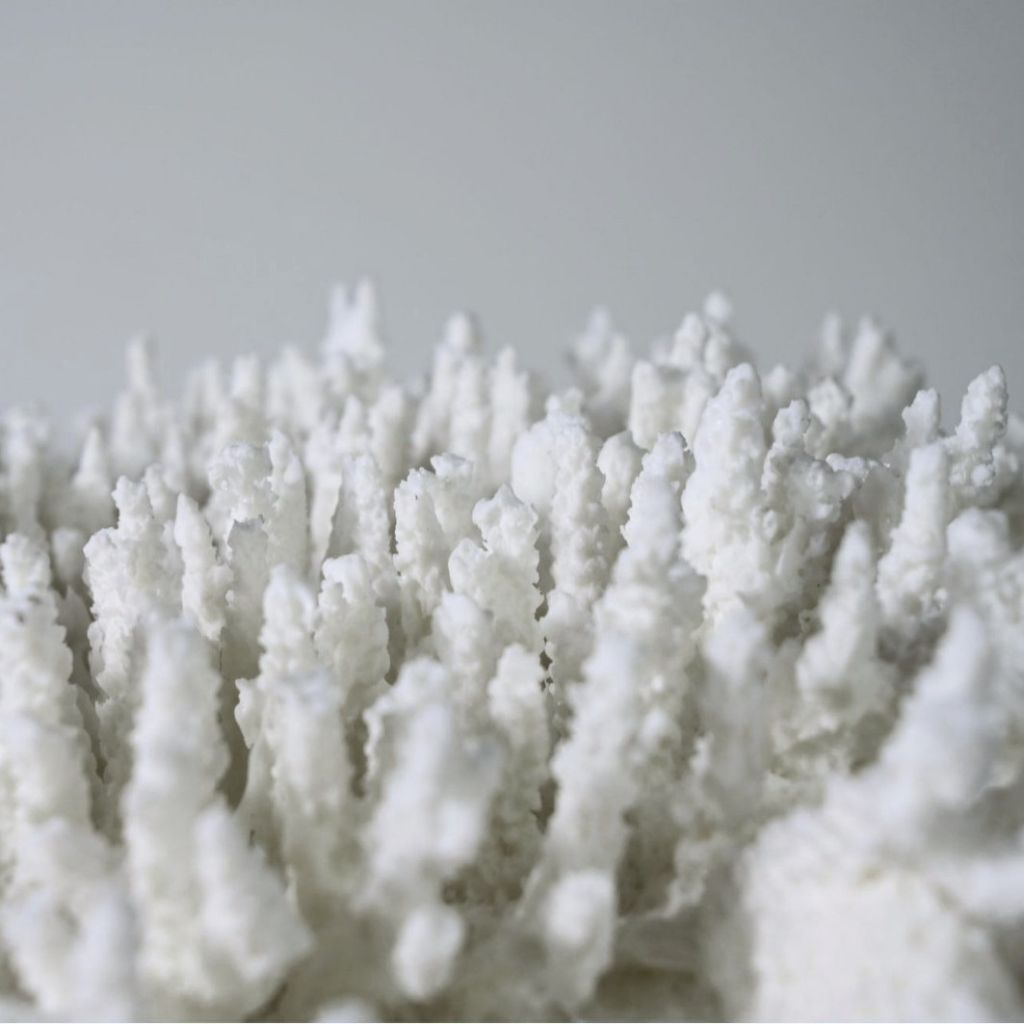 Rami Naturalistic Coral Sculpture