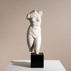 Aphrodite Torso Bust Sculpture