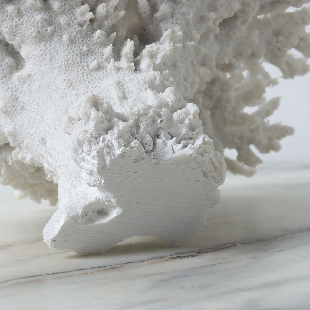 Rami Naturalistic Coral Sculpture