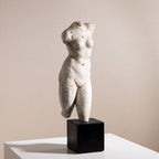 Aphrodite Torso Bust Sculpture