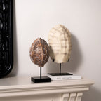 Ardenne Tortoise Shell Resin Sculpture