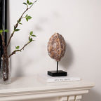 Ardenne Tortoise Shell Resin Sculpture