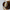 Annulus Vase