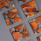 Mokume Fused Pine Coaster