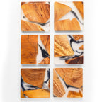 Mokume Fused Pine Coaster