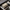 Serif Box