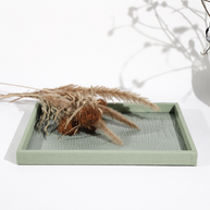 Nile Tray