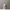 Grisaille Vase