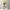 Sepal Vase