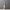 Lares Vase