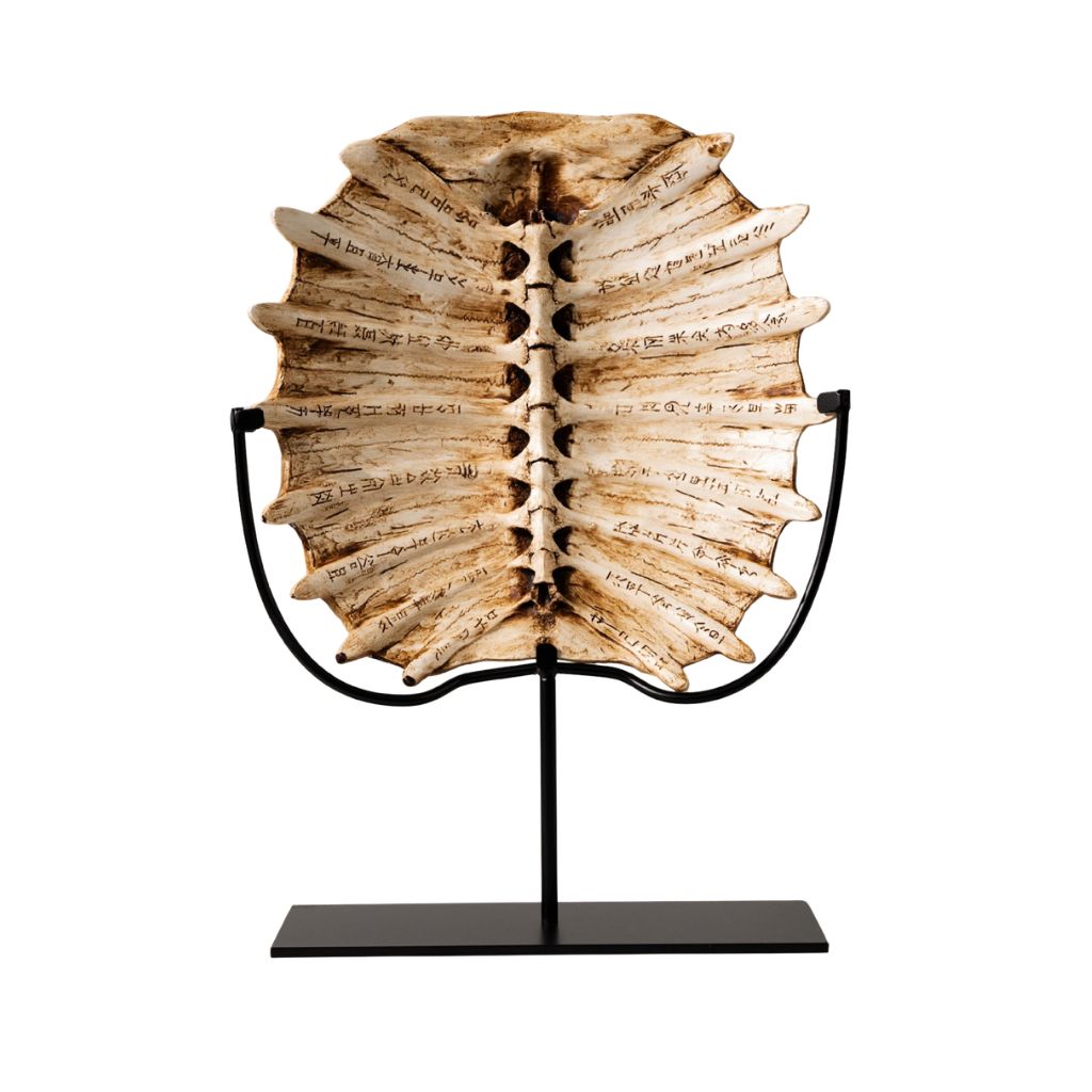 Véro Oracle Bone Tortoise Shell Sculpture