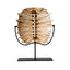 Véro Oracle Bone Tortoise Shell Sculpture