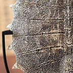 Véro Oracle Bone Tortoise Shell Sculpture