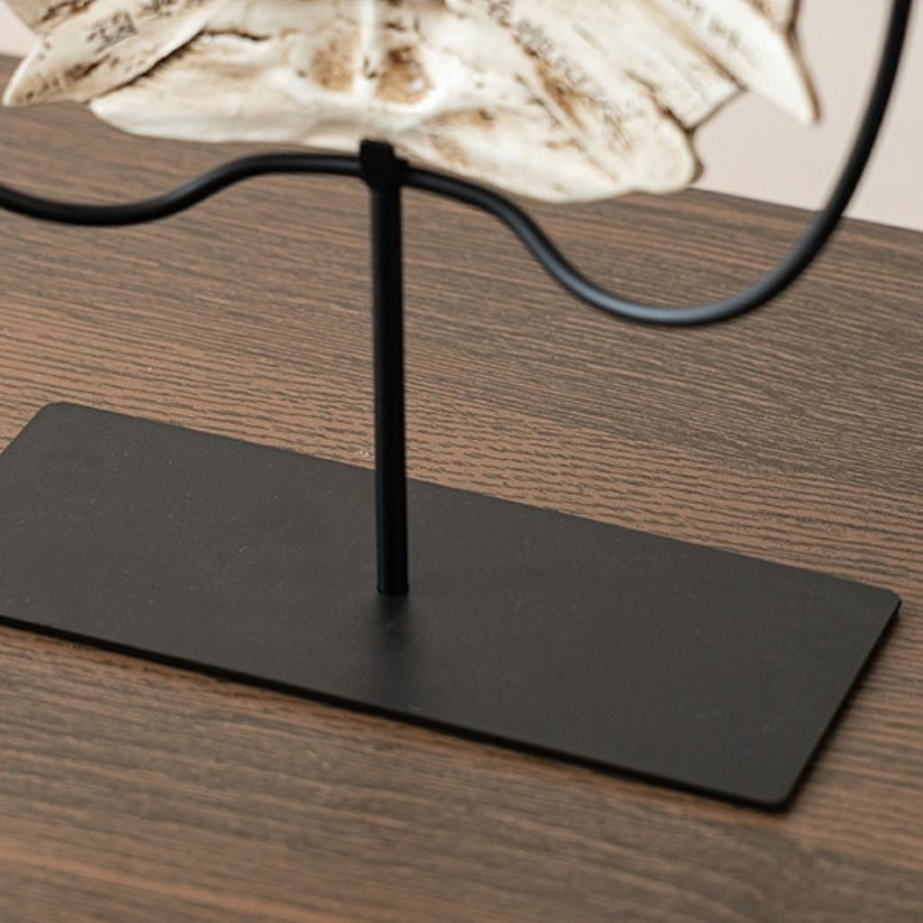Véro Oracle Bone Tortoise Shell Sculpture