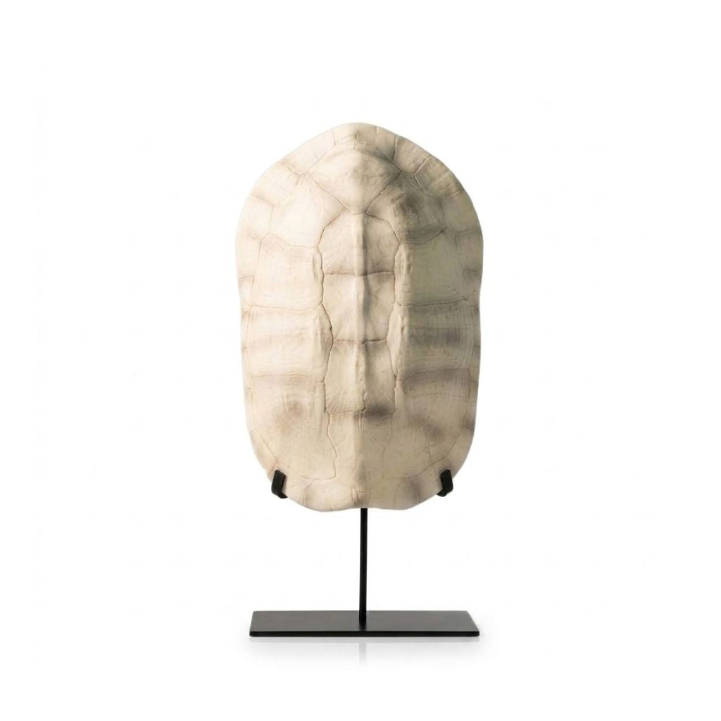 Ardenne Tortoise Shell Resin Sculpture الصورة الرئيسية