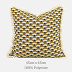 Arche Fringed Throw Pillow