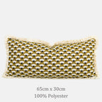 Arche Fringed Throw Pillow