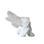 Aeolia Veil Portrait Sculpture
